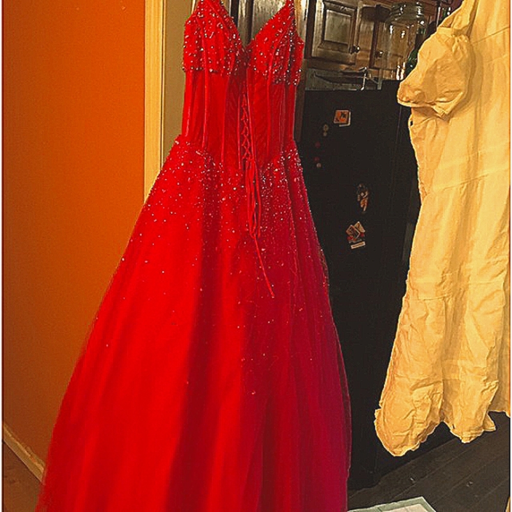 Cinderella Gown
